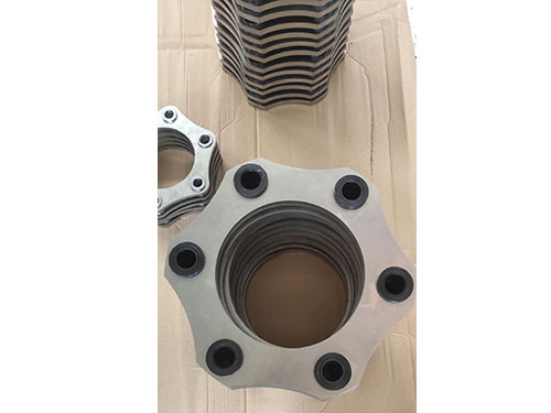 6孔不锈钢膜片 (2)