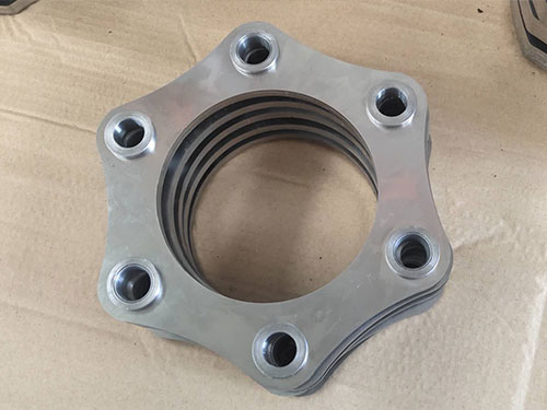 6孔不锈钢膜片 (3)